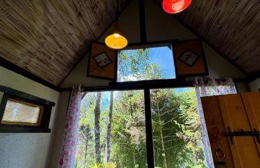 Chalés Refúgio de Lumiar - Chalé Recanto - Foto 44