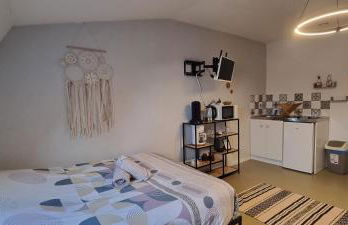 T1 rénové 29 m2 cosy confort ! - Foto 11