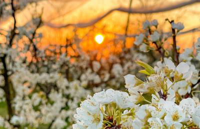 Tenuta Fasanarella - Foto 90