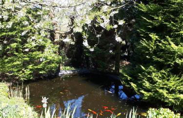 Ferienwohnung am Sorpesee - Foto 24