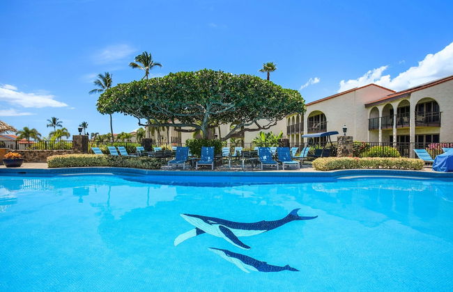 Aston Maui Hill - Photo 62