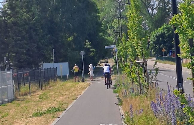 Jastrzebia Marina - Foto 27