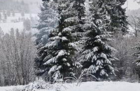 Chatka Bratka - Foto 18