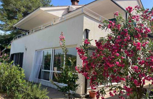 Koko's home - Photo 1