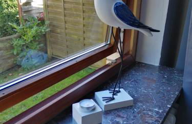 Steinmarner Bude 2 - Foto 7