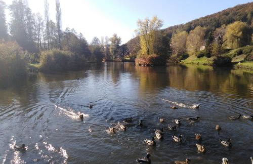 Gîte des trois vallees - Foto 13