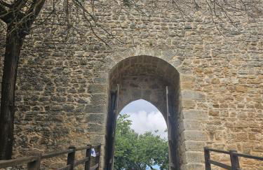 Sunflower Castle View in Óbidos - Foto 42