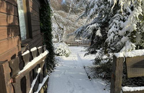 Ferienwohnung am Wald mit Garten & Hot-Tub & Alpakas - Foto 61
