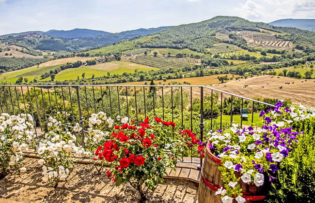 3 bedroom Apartment in Allerona with swimming pool and garden - Photo 13