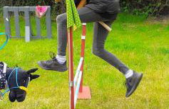 Meislahnhof Fehmarn - Foto 61