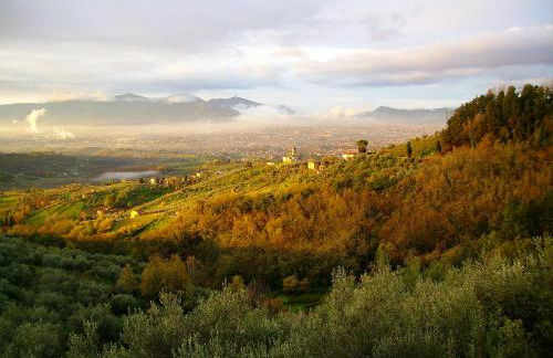 Fattoria Gambaro di Petrognano - Foto 14