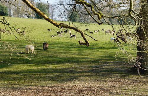 Horncombe Stables - Foto 17