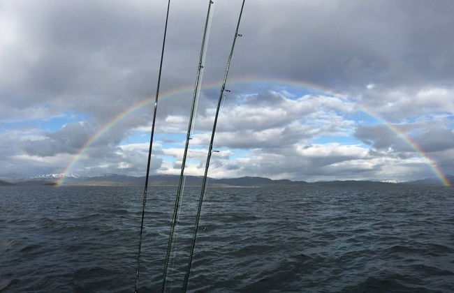 Arctic Seasport - Foto 68