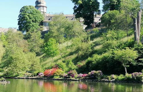 Ferienwohnung am Schloßpark - Foto 10
