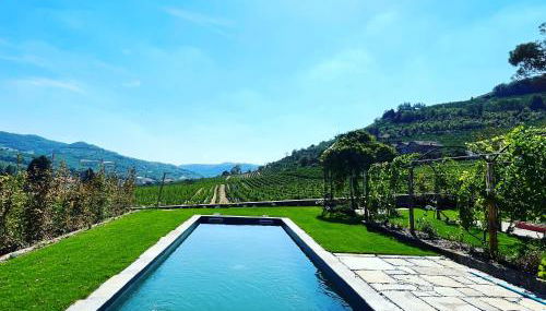 Vigne di Fagnano 1709 Eco Relais - Photo 4, Garden, Garden view