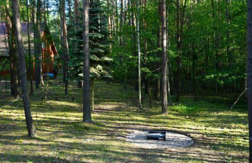 Daleko od Szosy - Foto 11