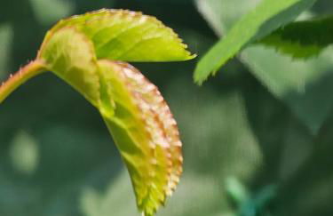 A Home Away From Home - Photo 36