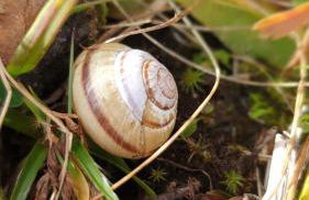 Ferienwohnung Sonnenschein Familie Hamdorf - Photo 30
