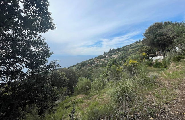 Wildsunset - Villa Cala Moresca - Foto 12