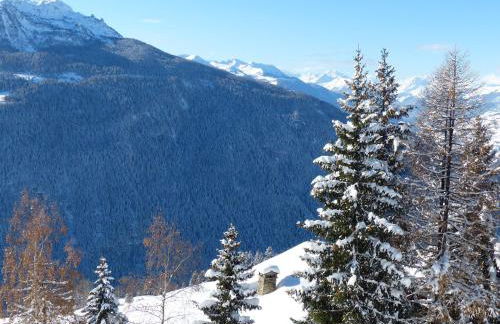 Appartement dans un chalet typique de montagne à La Rosière - Foto 15