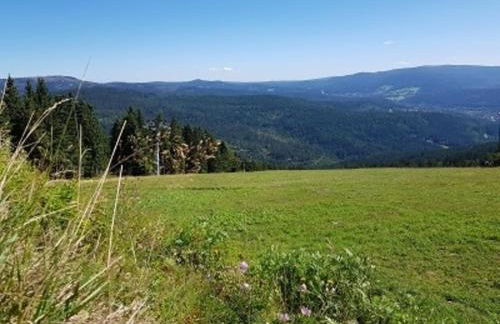 Ferienwohnung Augustin - Foto 14