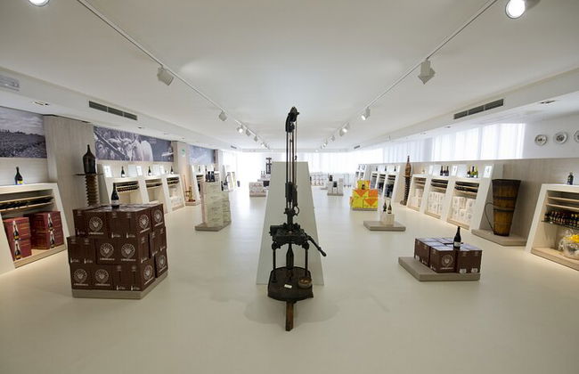 Degustación de vino Lambrusco y visita a la bodega en Módena. - Foto 5