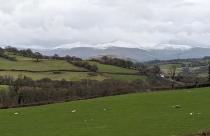 Vale Farm Cottages - Photo 68