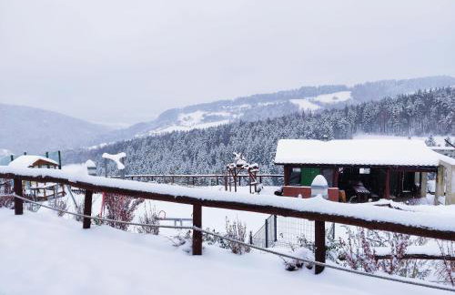 Agroturystyka Faron - Foto 38