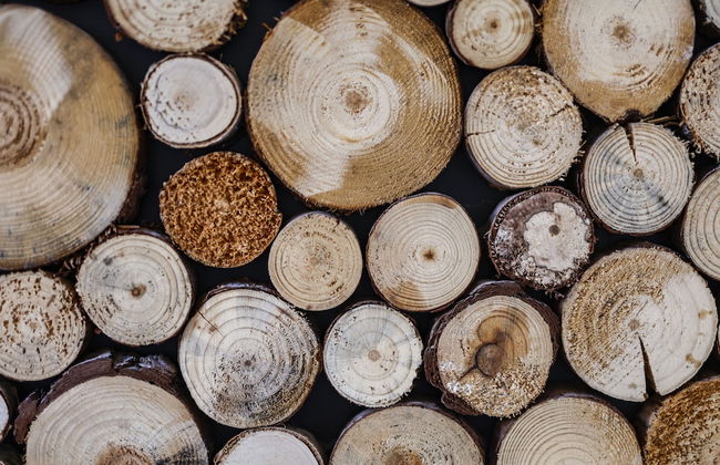 Sleephotels Alsterroom - Foto 27