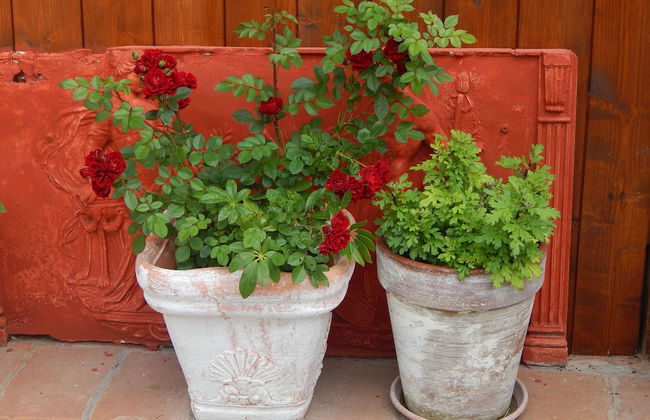 House With 2 Bedrooms In The Countryside Of Rome - Foto 29