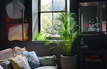 Alpine Apartments Snowdonia - Foto 7