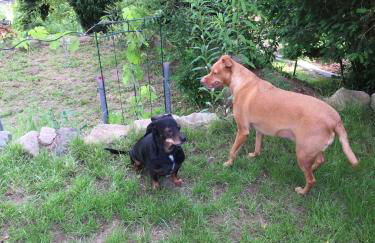 Haus Marta - Photo 57