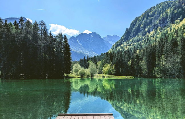 Pool Villa Katja Kranjska Gora - Foto 23