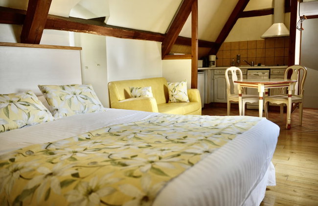La Villa des Consuls - Gîte de tourisme de charme - Photo 25