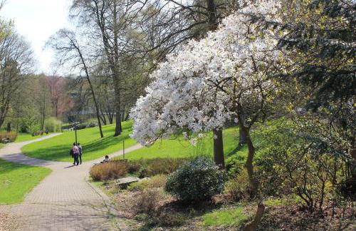 Ferienwohnung zum Eifgental - Foto 19