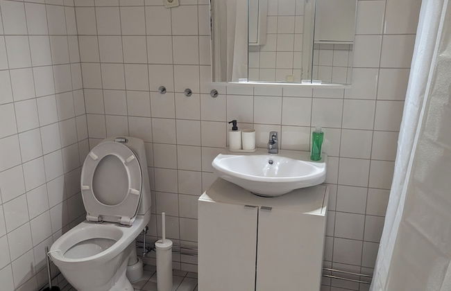 Large, Stylish Apartment in Central Stockholm - Photo 5