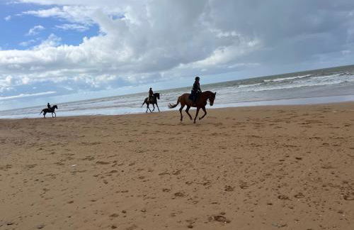 Villa les Tonnelles 1 à 800m de la plage et 500m de la forêt - Foto 23