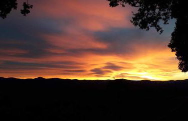 Vigna del Poggio - Foto 31