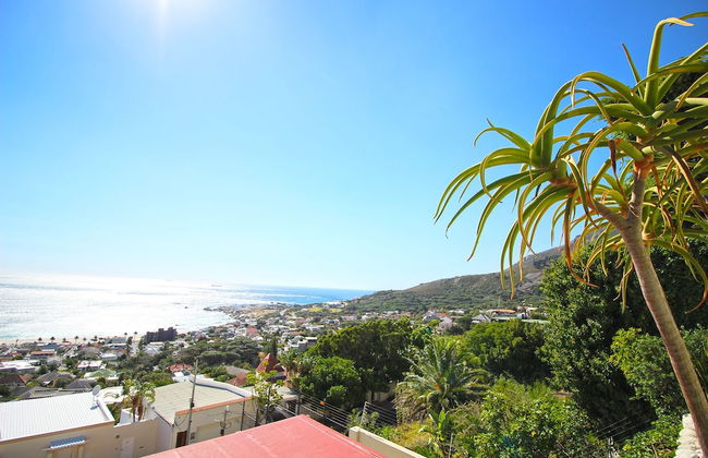 Medburn Road 16A - Photo 31