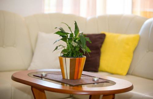 House Lopar (73) - Foto 24