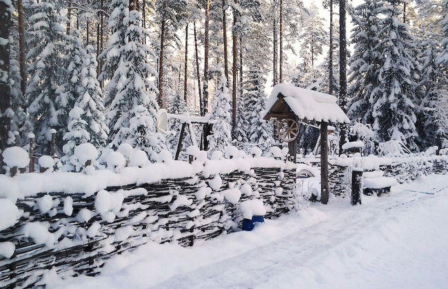 Shishki na Lampushke - Russkaya Derevnya - Foto 26