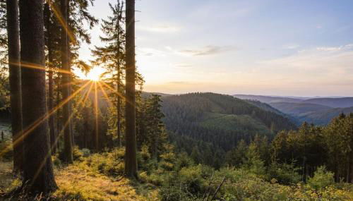 Ferienwohnung Winterberg - Foto 4