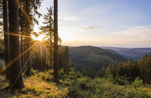 Ferienwohnung Winterberg - Foto 4