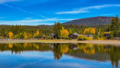 Tree-Lined Views #8 - Photo 3