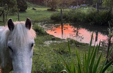 Cabana do Lago- Morro da Borússia - Foto 42