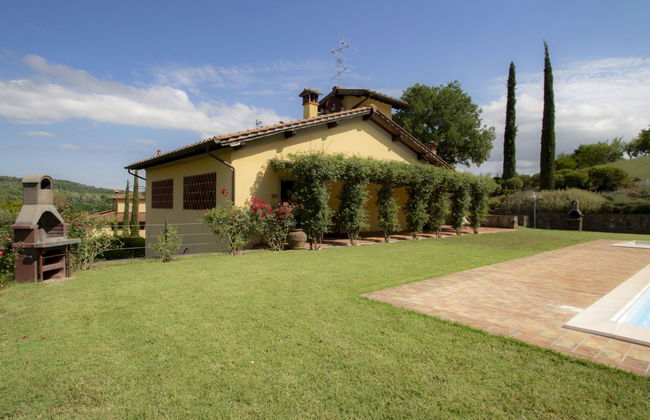 Corbezzolo - Foto 39