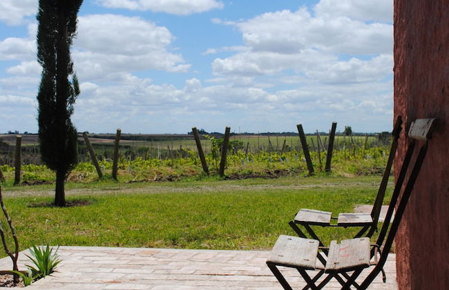 Finca Las Cavas - Photo 10