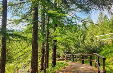 Hostdomus - Sansicario R21 Terrace - Photo 20