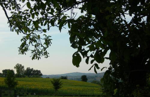 Santa Maria del Gallo - Foto 16