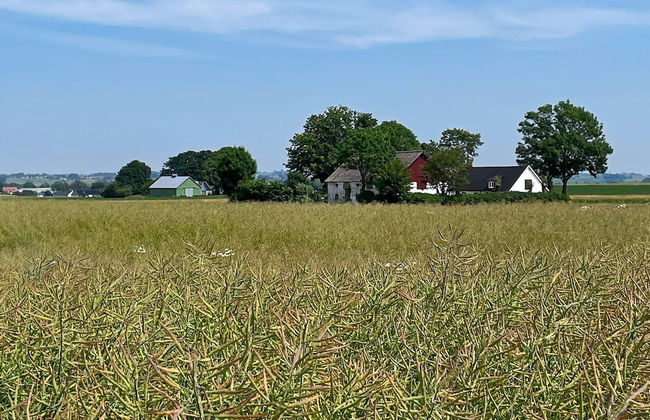 8 Person Holiday Home in Skivarp - Foto 24